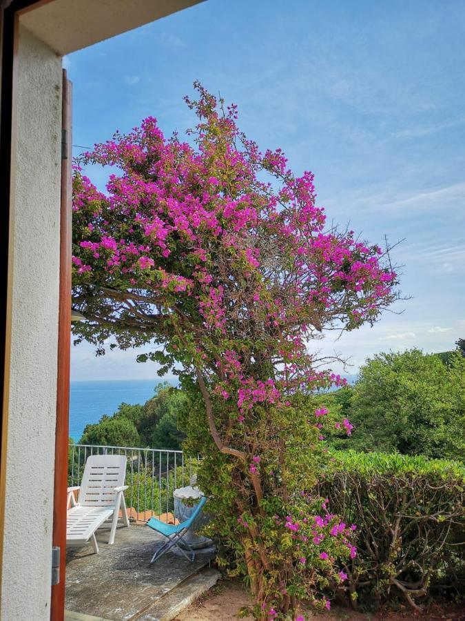 Casa Panoramica Bouganville Sant'Andrea  Bagian luar foto