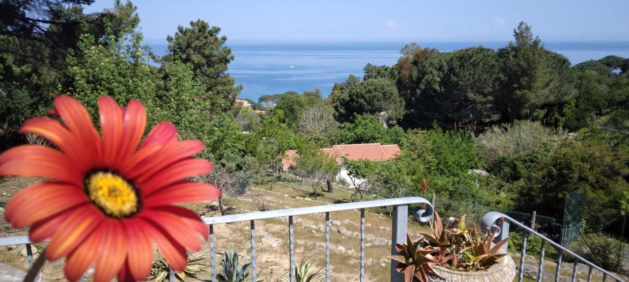 Casa Panoramica Bouganville Sant'Andrea  Bagian luar foto