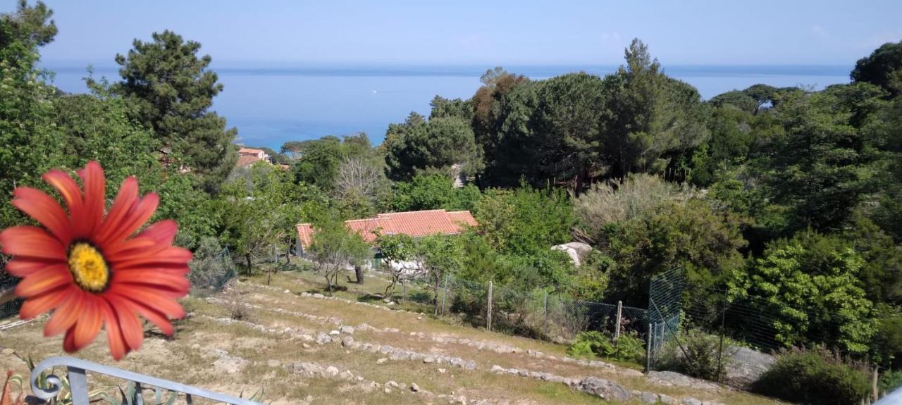 Casa Panoramica Bouganville Sant'Andrea  Bagian luar foto