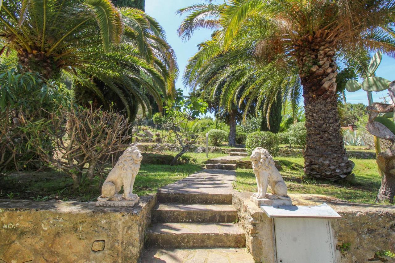 Casa Panoramica Bouganville Sant'Andrea  Bagian luar foto