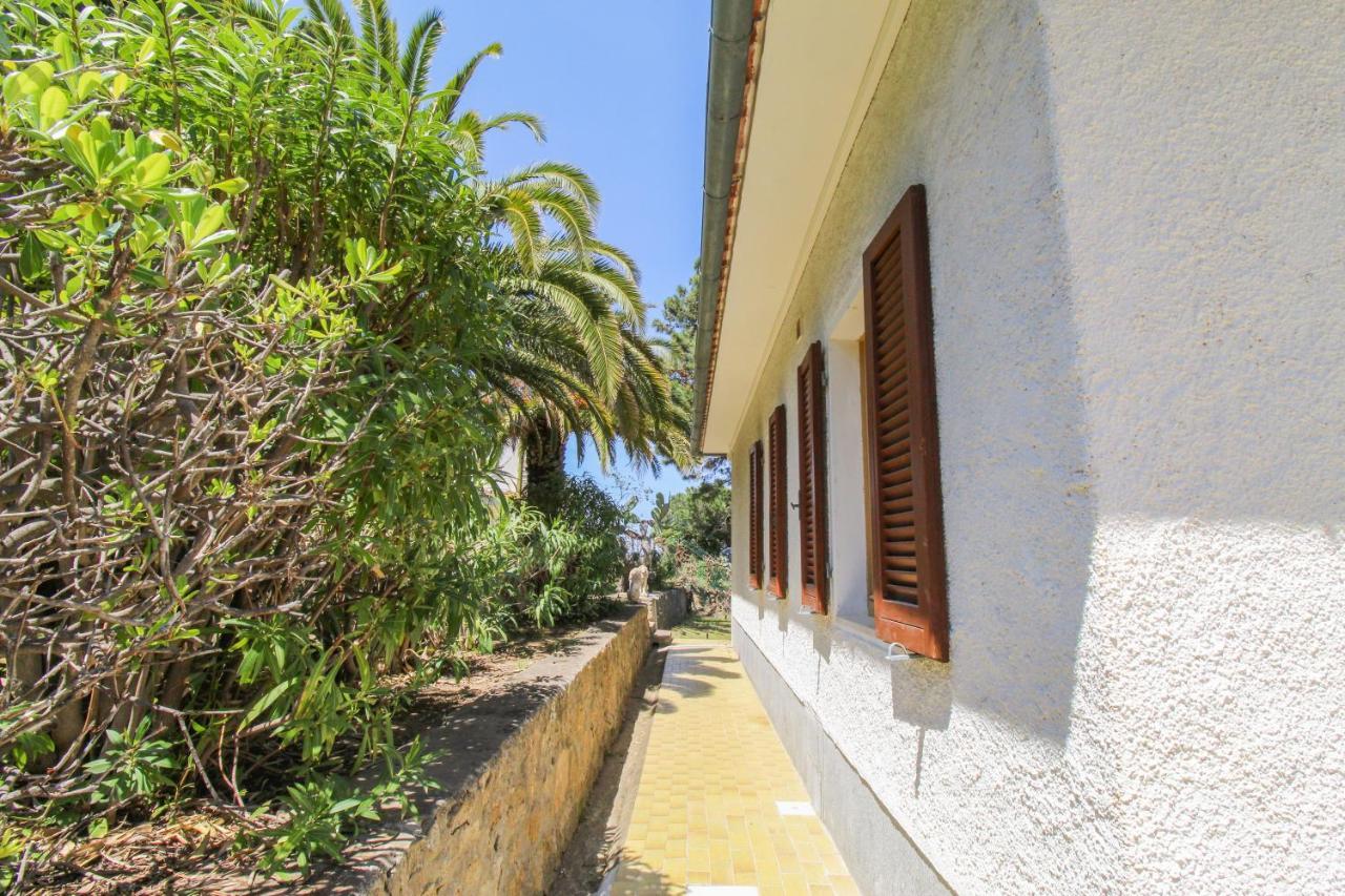 Casa Panoramica Bouganville Sant'Andrea  Bagian luar foto