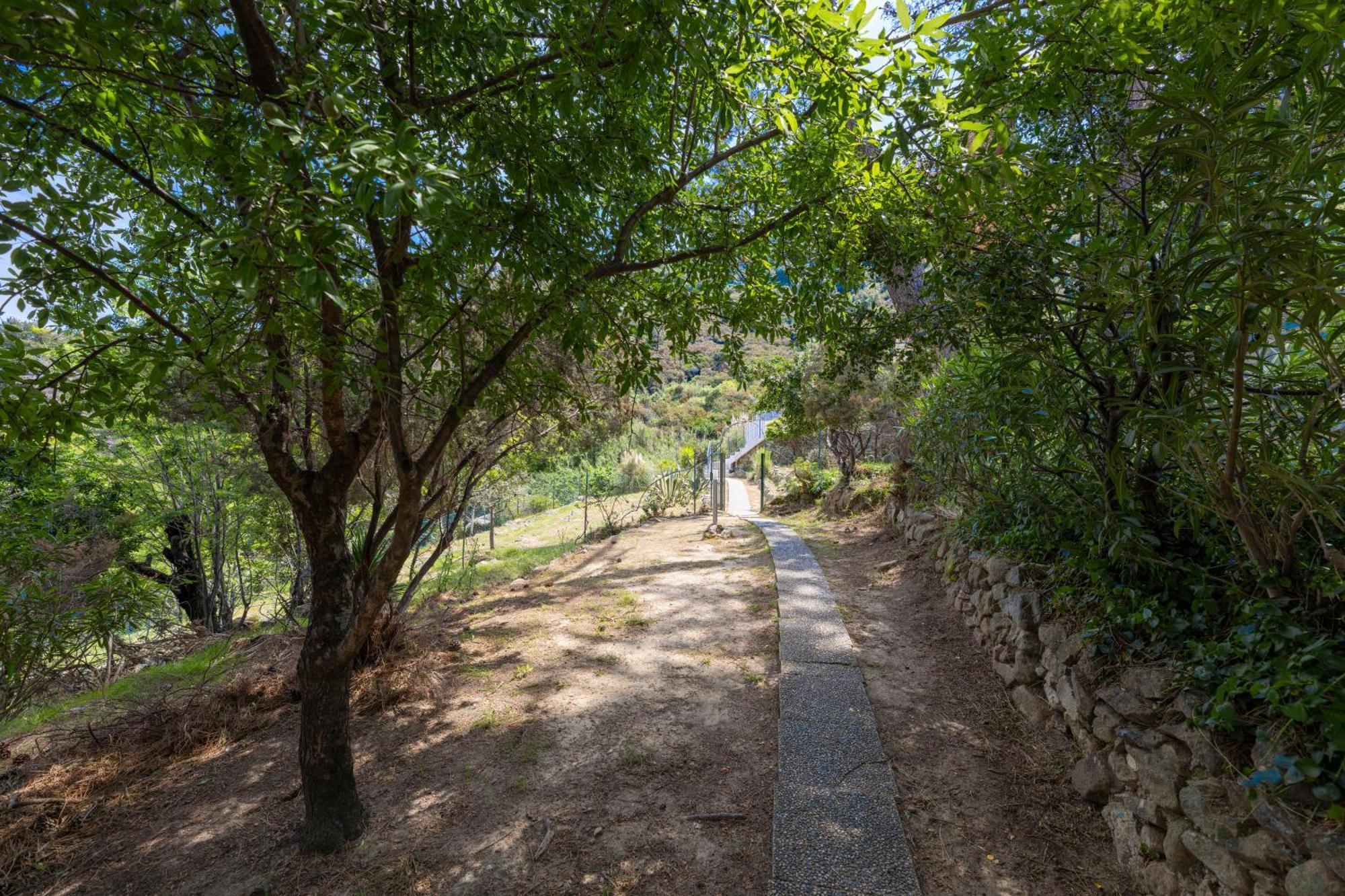 Casa Panoramica Bouganville Sant'Andrea  Bagian luar foto